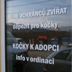 Naše práce pro tetčickou veterinu